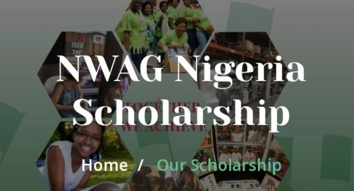 Nigerian Women Association of Georgia Scholarship Program 2025 For Nigerians(Up to $300 / N456,000 Grants) 4 Nigerian Women Association of Georgia Scholarship Program