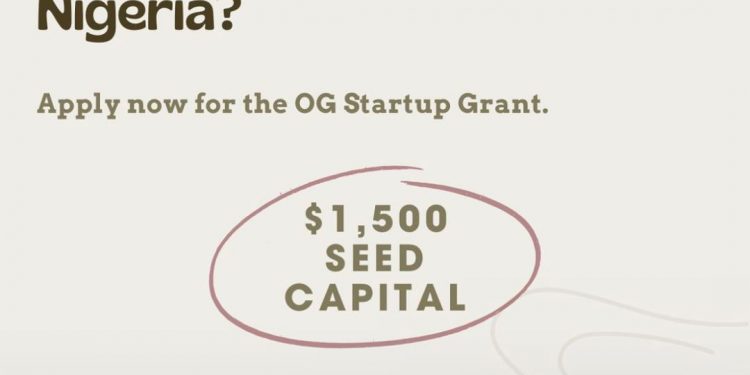 OG Startup Grant For Young Entrepreneurs in Nigeria