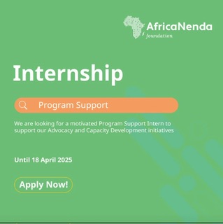 AfricaNenda Paid Internship Program (Remote)
