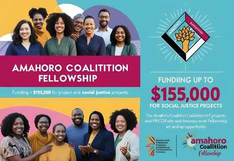 Amahoro Coalition Fellowship 2025 (Up to $155,000 Funding, Business Development Support and Mentorship) 1