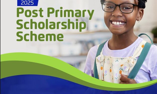 Nigeria LNG Limited (NLNG) Post-Primary Scholarship Scheme