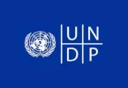 UNDP Digital Transformation Internship