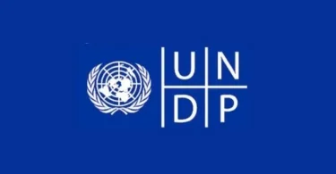 UNDP Digital Transformation Internship