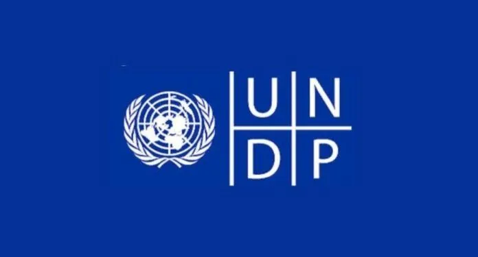 UNDP Digital Transformation Internship