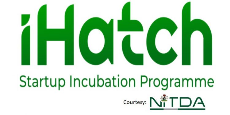 iHatch Cohort