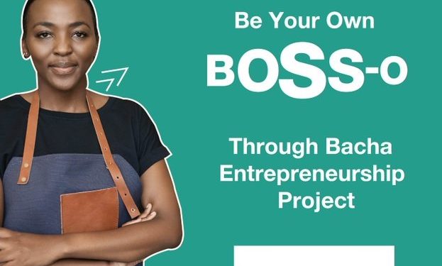 Bacha Entrepreneurship Project