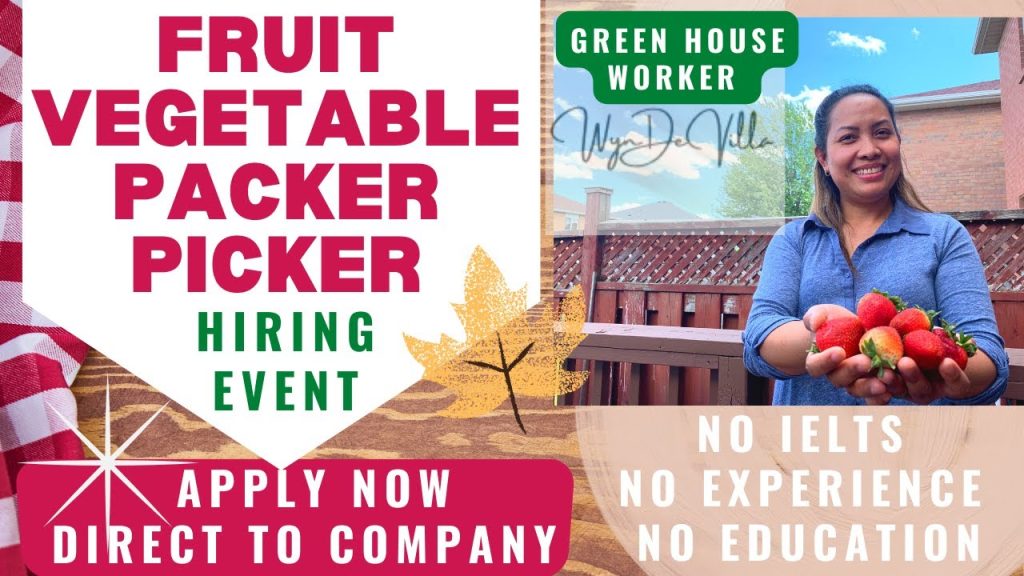 Fruit Picker Jobs in Canada with Visa Sponsorship – Complete Guide for 2025