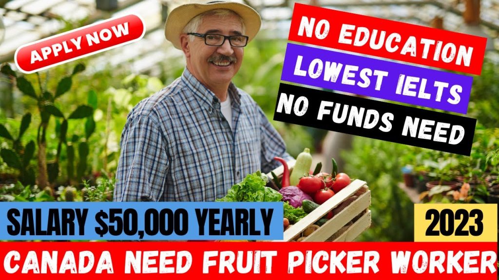 Farming Jobs in the UK with Visa Sponsorship 2025 – Earn £10.42/hr & Secure Your Seasonal Work Visa 1