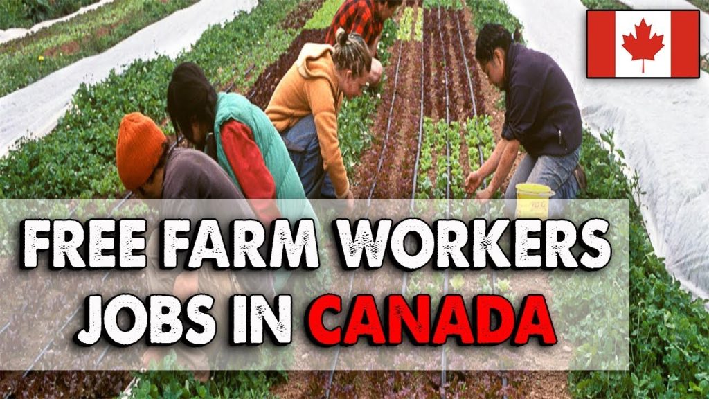 Seasonal Farm Work in Canada with Visa