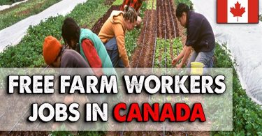 Seasonal Farm Work in Canada with Visa