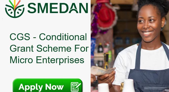 SMEDAN Conditional Grant Scheme For MSMEs
