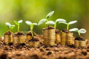 AHAC Seeds and Possibilities Small Grants