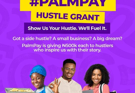 PalmPay Hustle Grant