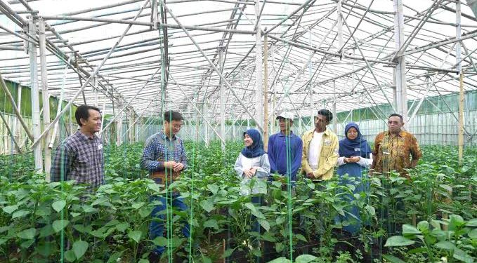 British Council Launches Climate Skills Global Collaboration Grants