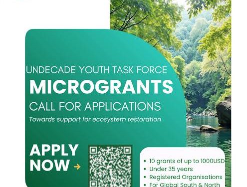 UN Decade Youth Task Force Microgrants 2026 (Up to US$1,000 for Youth-Led Restoration Projects) 1